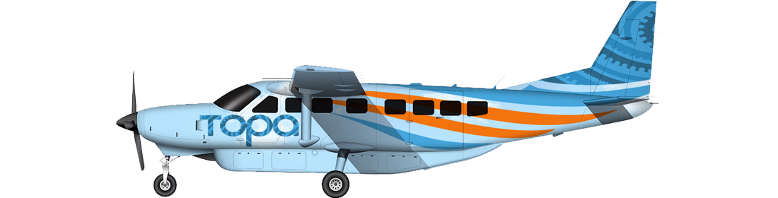 C208B